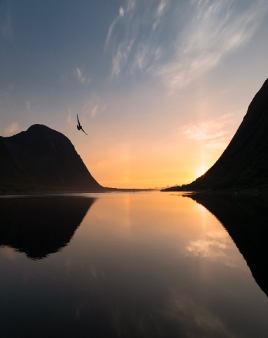 One flew over the Morfjord