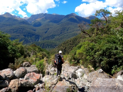 View from the cliff overlooking the hollyford valley