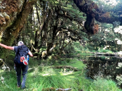 Walking along the shore of a small lake