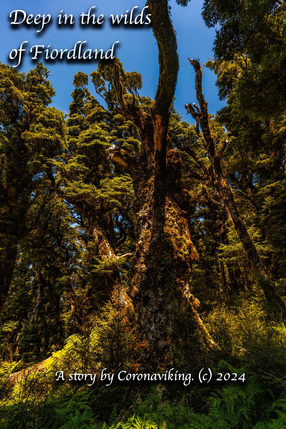 Solo journey through New Zealand’s Fiordland wilderness, exploring solitude, self-discovery, and transcendental connection to nature’s untouched beauty.